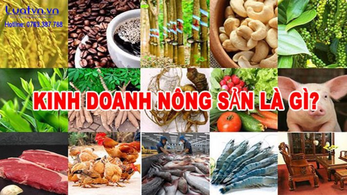 Kinh doanh nông sản là gì?