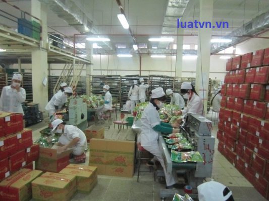 Thành lập công ty sản xuất bánh kẹo