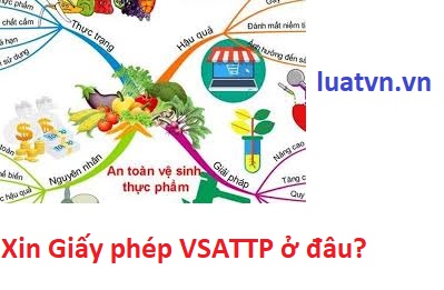 Xin Giấy phép vệ sinh an toàn thực phẩm