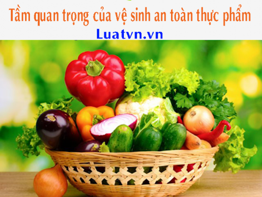 Tầm quan trọng của vệ sinh an toàn thực phẩm 1