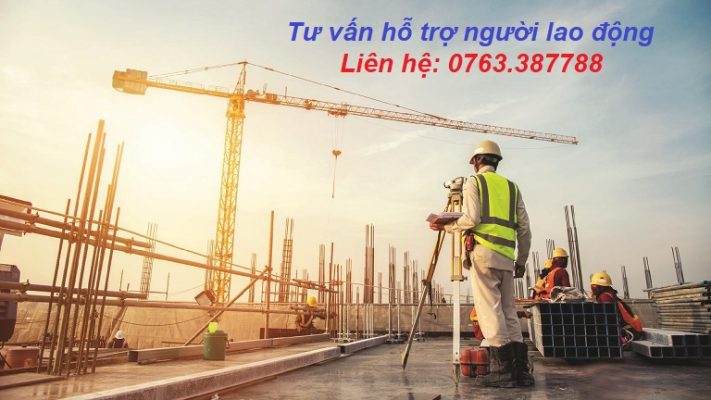 Đơn hàng xây dựng tổng hợp Nhật Bản