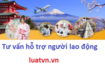 Thực tập sinh nông nghiệp tại Nhật 