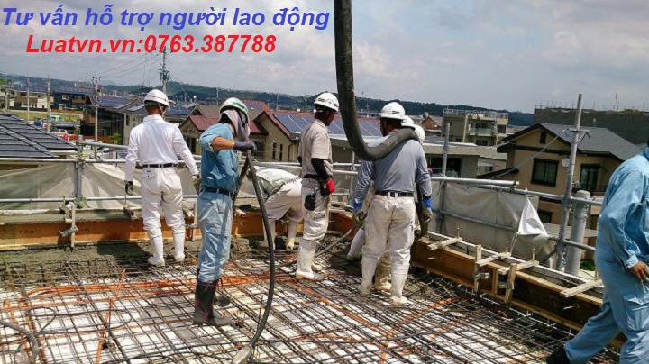 Đơn hàng xây dựng Nhật Bản