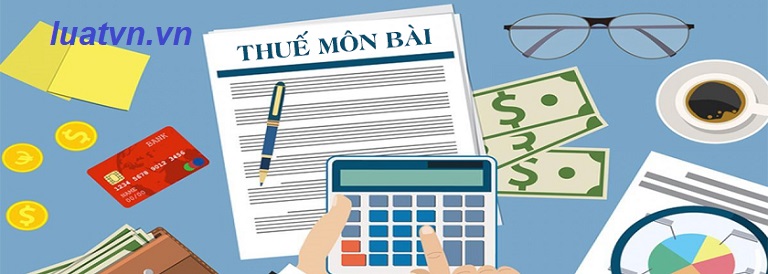 Bậc thuế môn bài dành cho doanh nghiệp, hộ kinh doanh, chi nhánh văn phòng đại diện