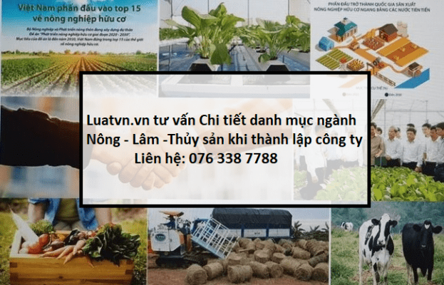 Danh muc nganh nghe kinh doanh 3